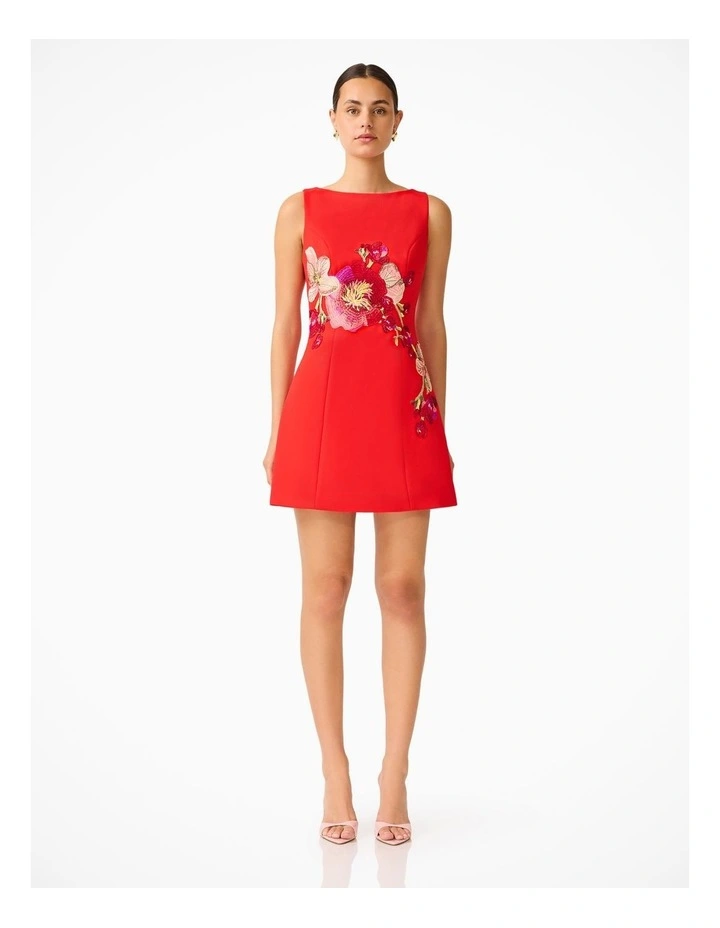 Fleurisca A Line Mini Dress image 1