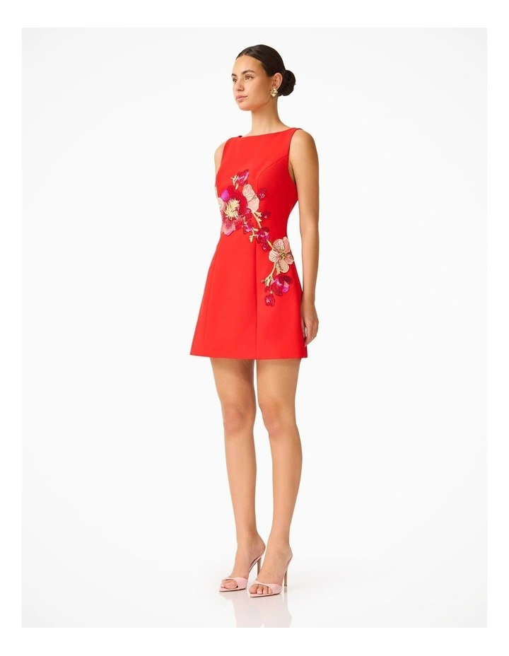 Fleurisca A Line Mini Dress image 4