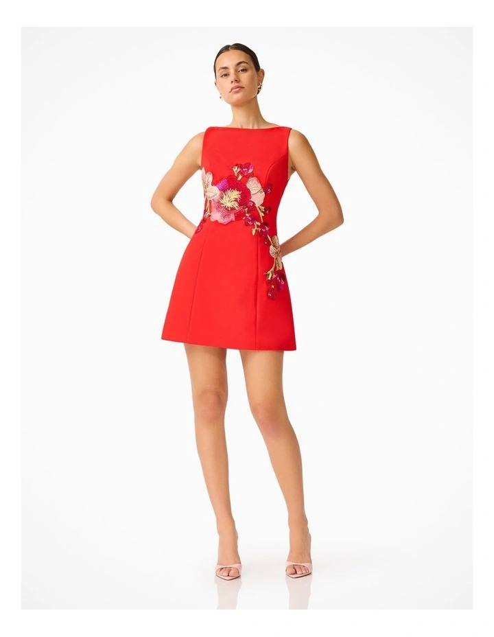 Fleurisca A Line Mini Dress image 5