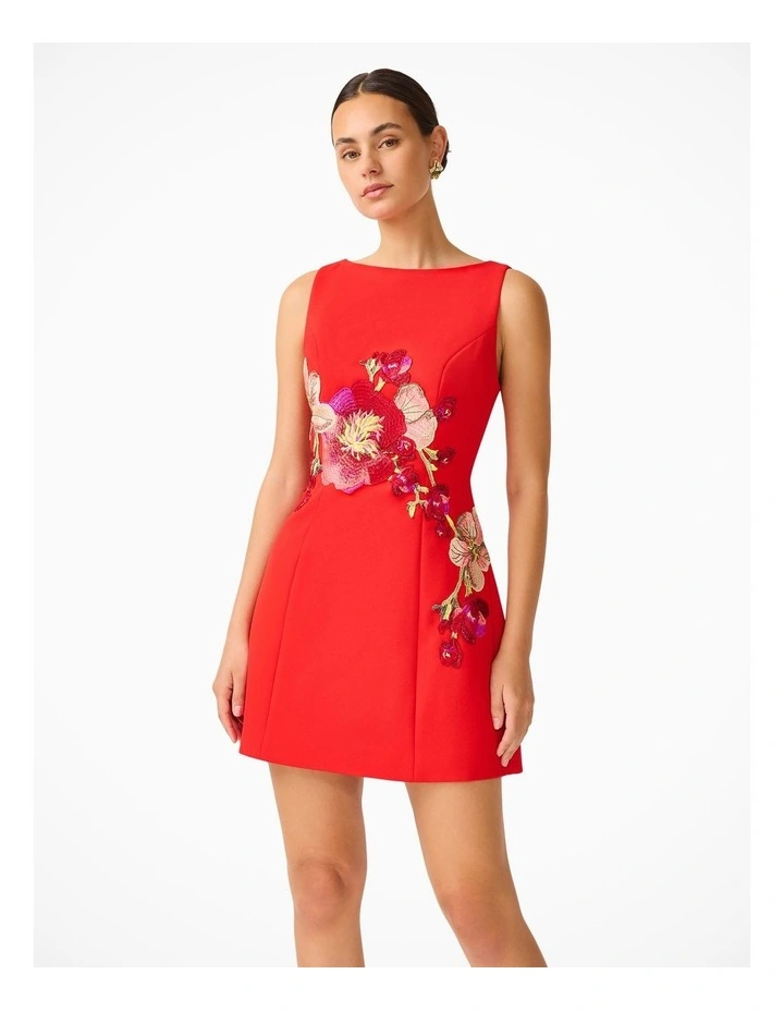 Fleurisca A Line Mini Dress image 6