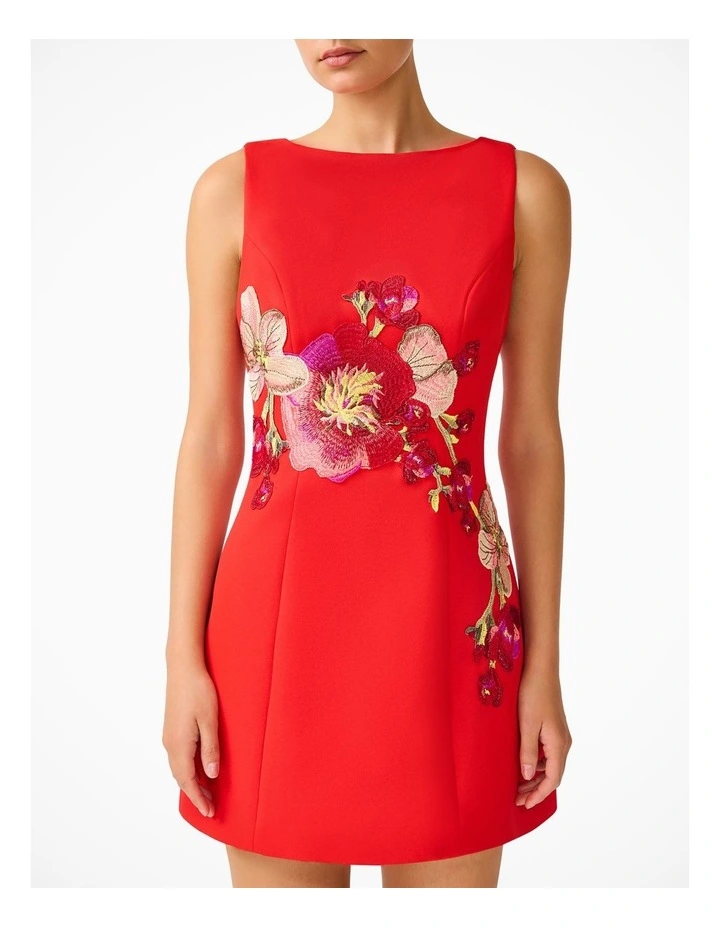 Fleurisca A Line Mini Dress image 7