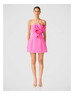 Laurentia Mini Dress