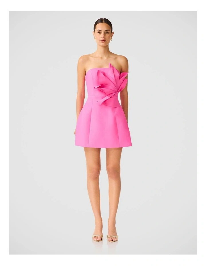 Laurentia Mini Dress image 1