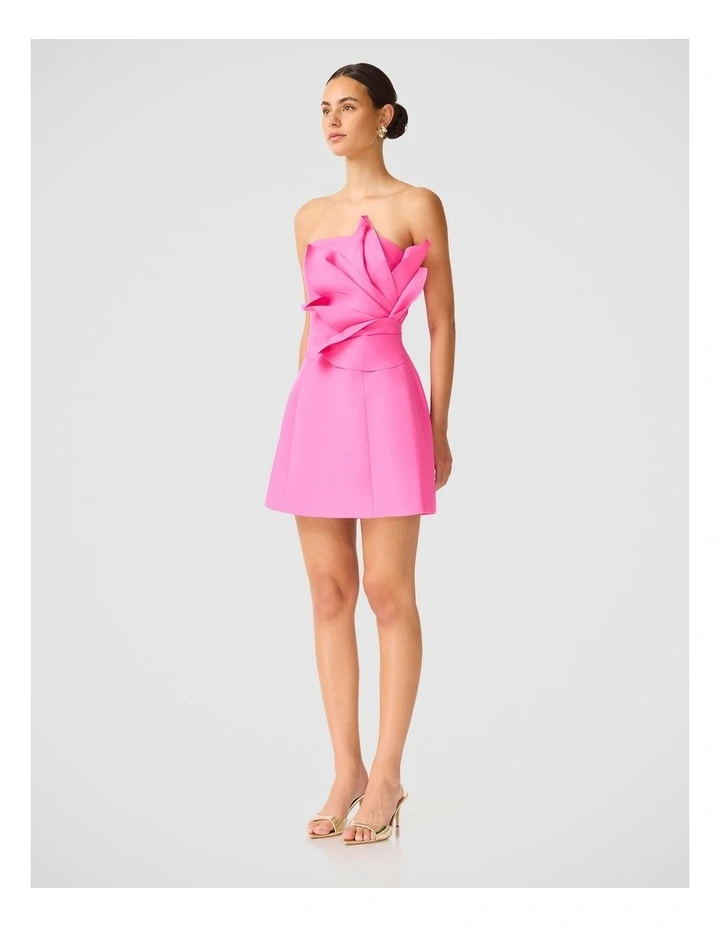 Laurentia Mini Dress image 3