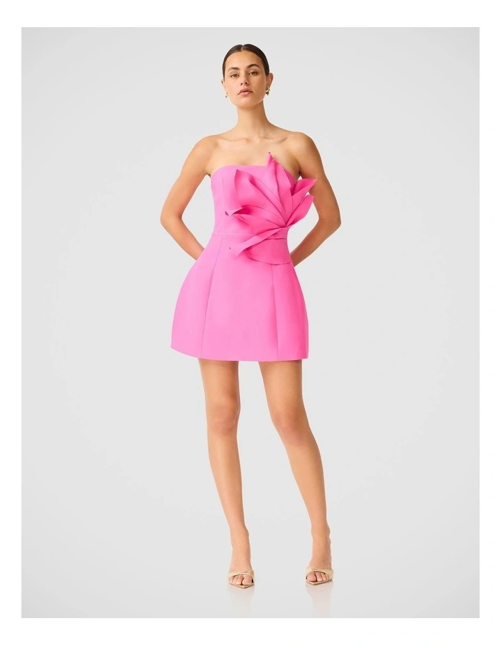 Laurentia Mini Dress image 4