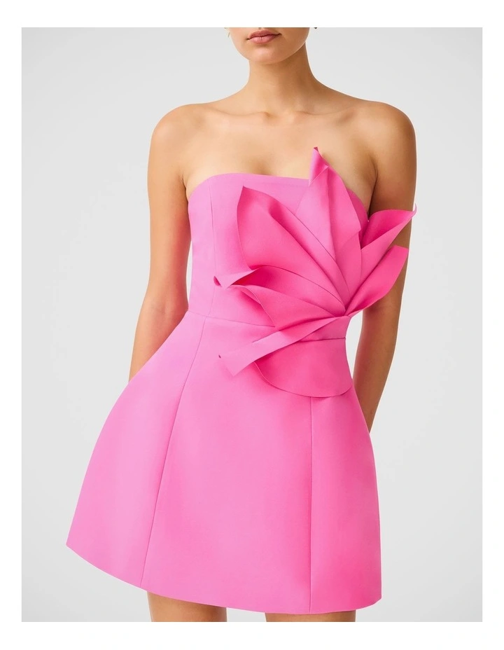 Laurentia Mini Dress image 5