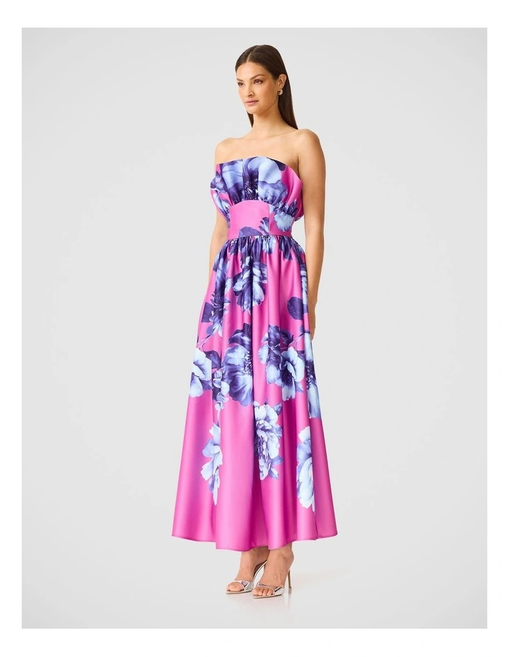 Sybella Maxi Gown image 4
