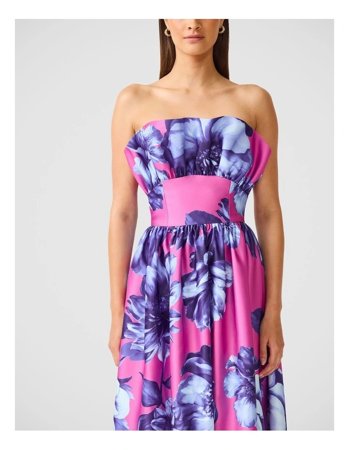Sybella Maxi Gown image 6