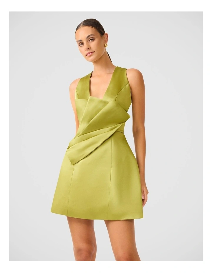 Camellin Mini Dress image 1