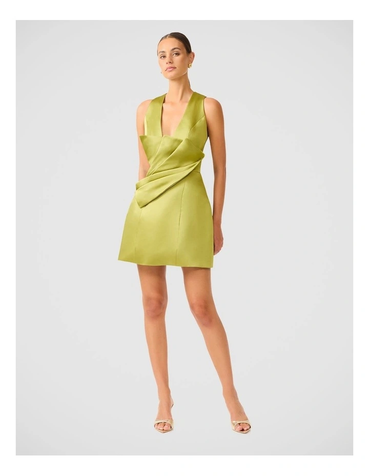 Camellin Mini Dress image 4