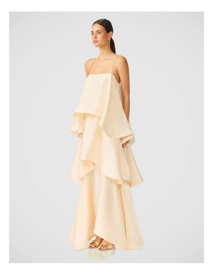Tilly Tiered Maxi Dress image 3
