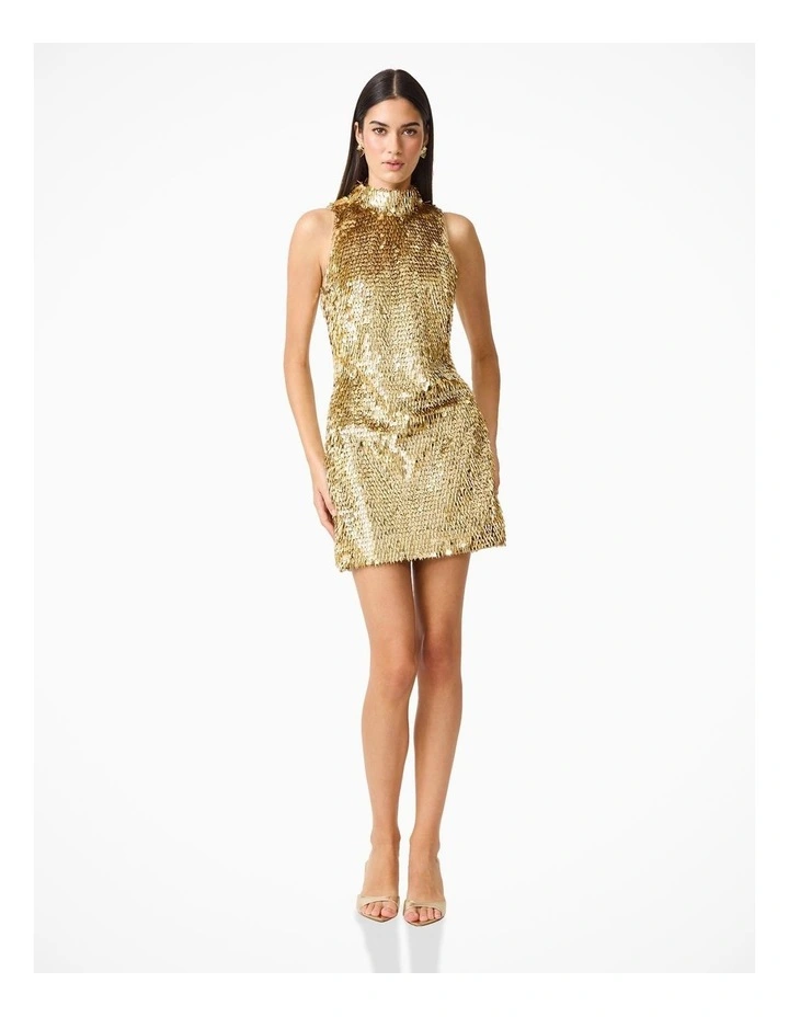 Marcelline Mini Dress image 5
