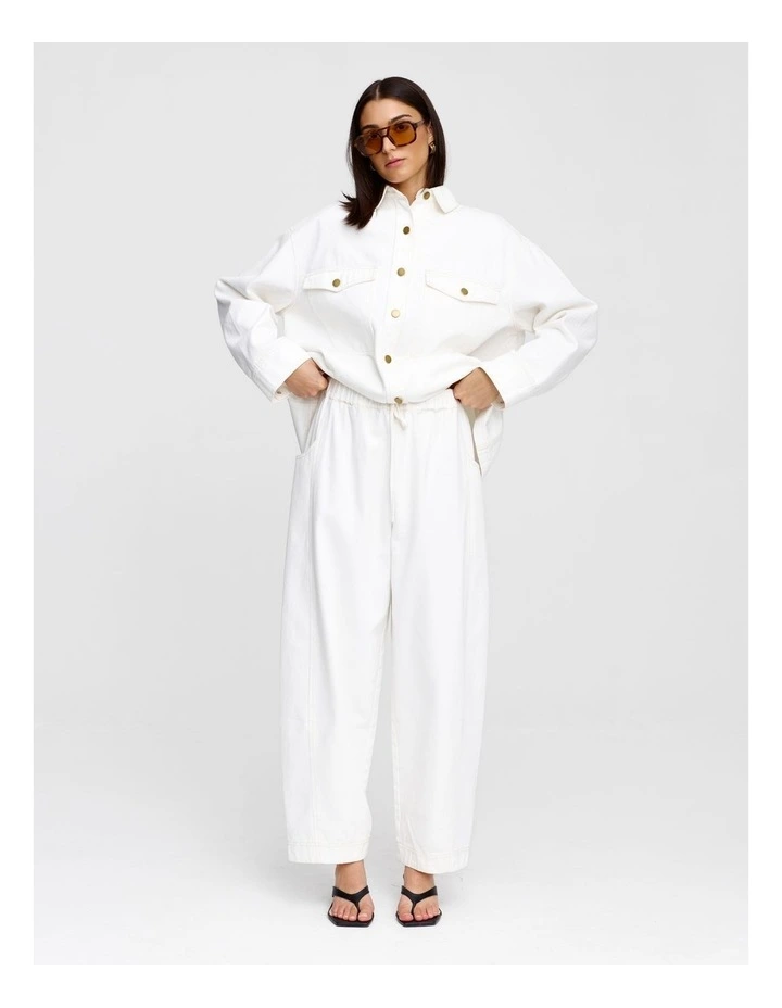 Andi Pant image 1