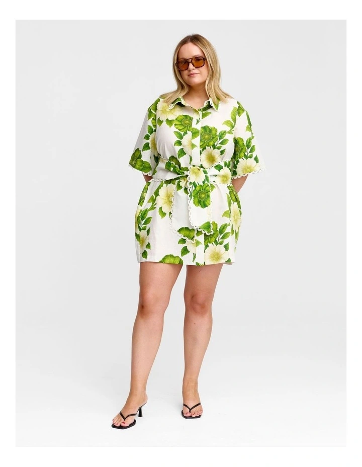 Sierra Mini Dress in Multi image 6