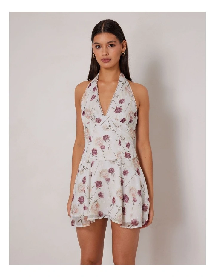 Valenitina Dress in Multi image 3