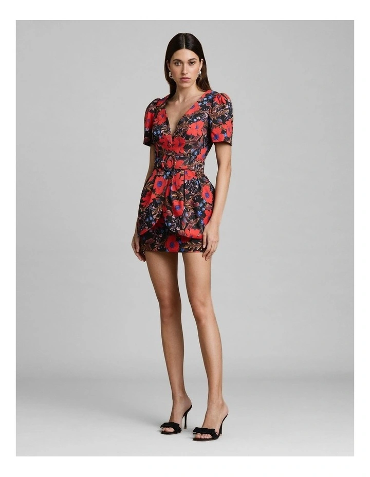 Rosario Dress image 3