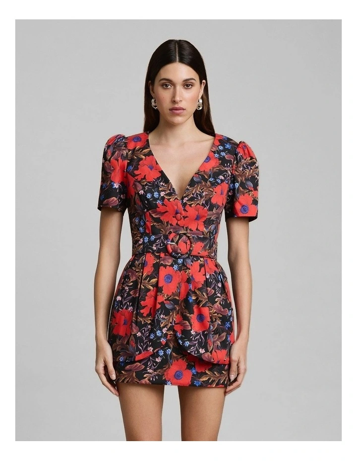 Rosario Dress image 4
