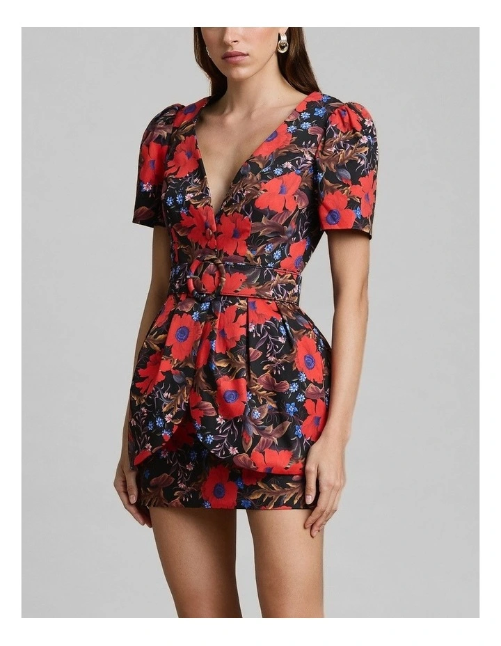 Rosario Dress image 5
