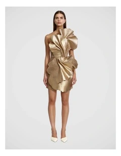 Oakenzale Mini Dress
