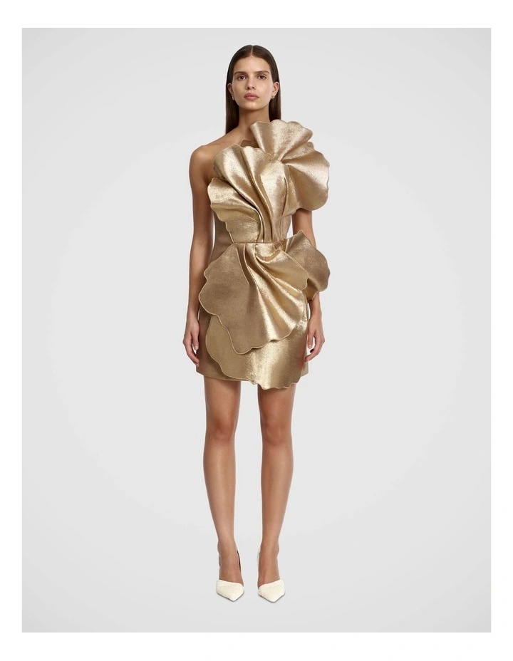 Oakenzale Mini Dress image 1