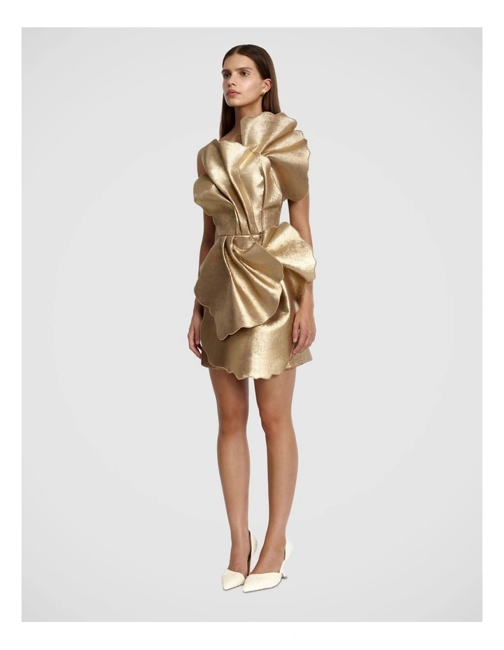 Oakenzale Mini Dress image 3