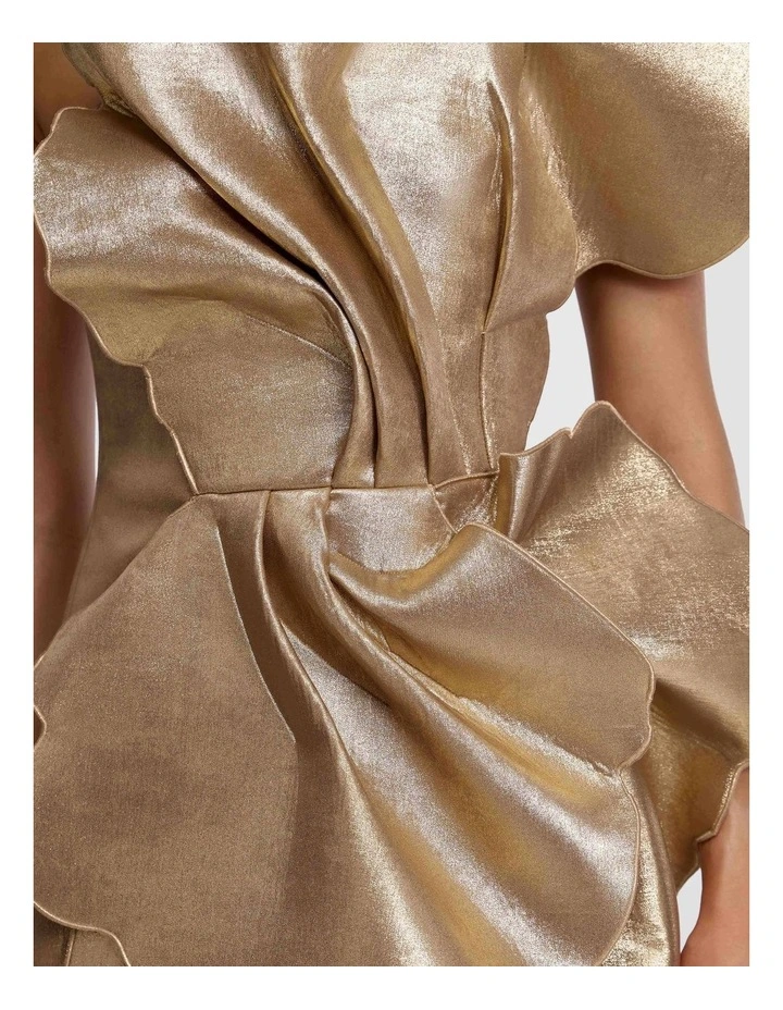 Oakenzale Mini Dress image 4