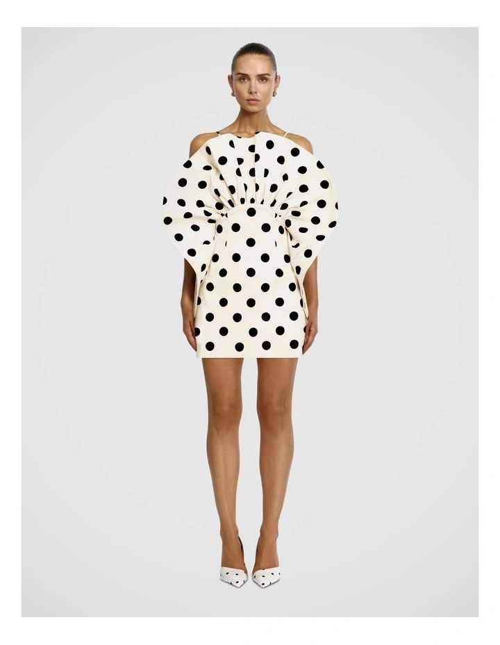 Ketch Mini Dress image 1