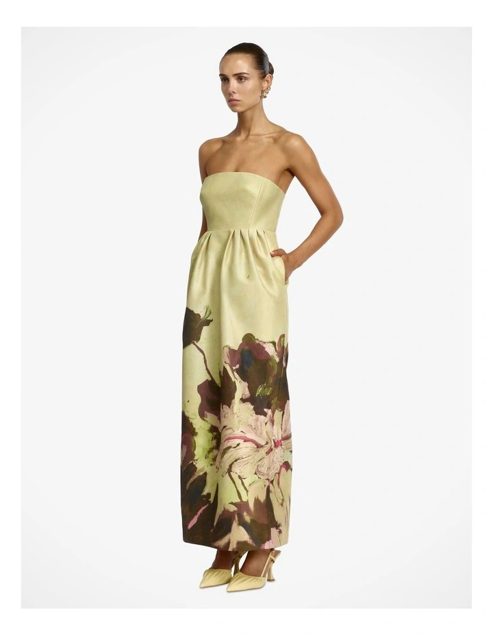 Penarth Maxi Dress image 3