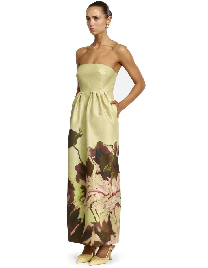 Penarth Maxi Dress image 3