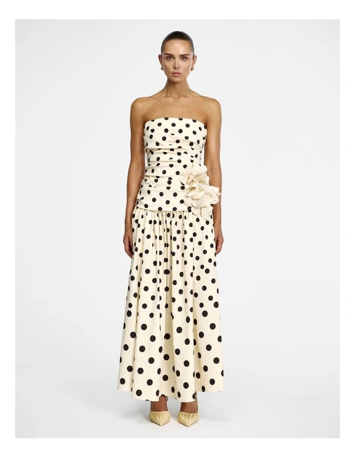 Ketchin Maxi Dress image 1
