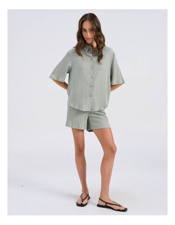 Seagrass colour