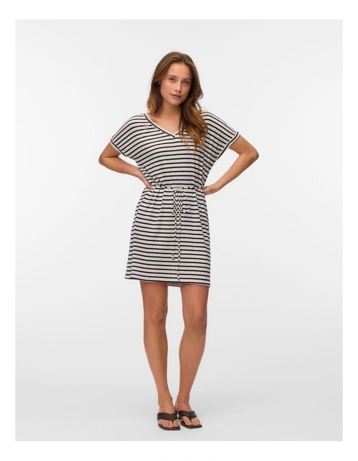 Holly Everyday Stripe Dress in Silver image 1