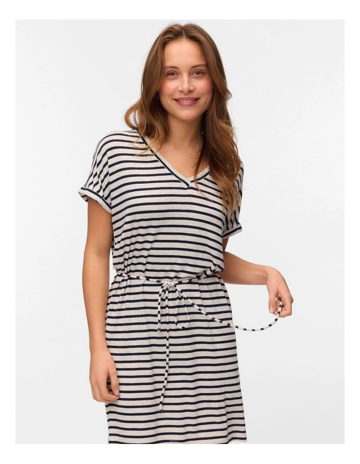 Holly Everyday Stripe Dress in Silver image 4