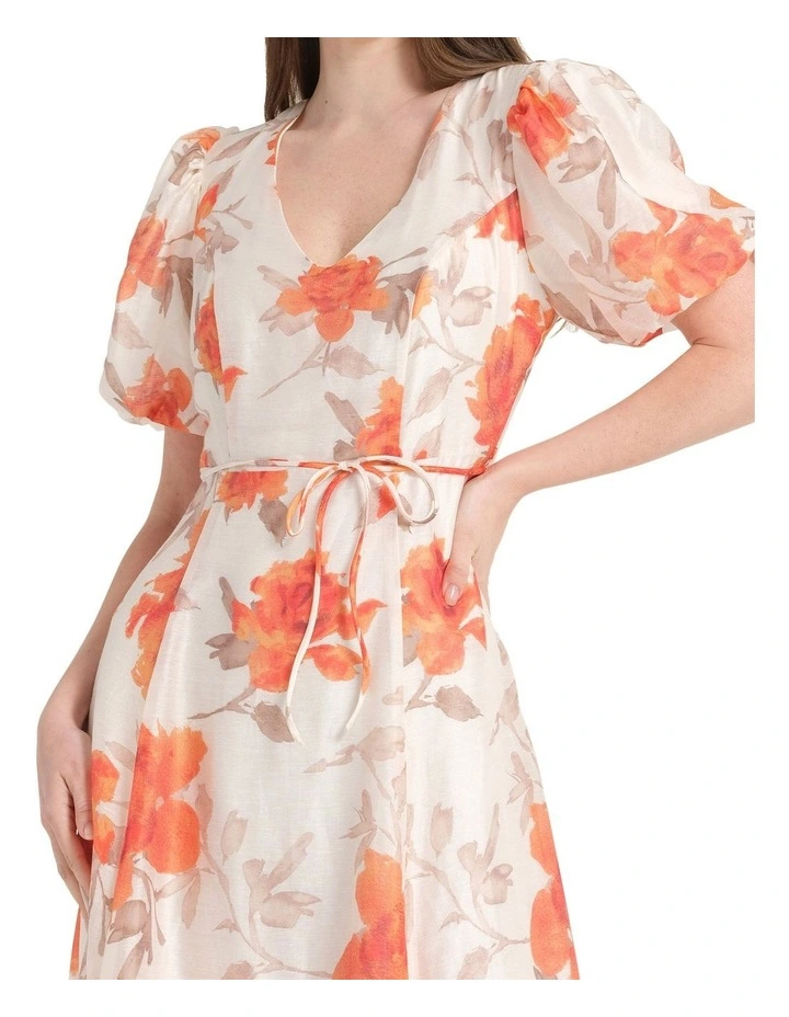 Sundara Dress in Multi image 4