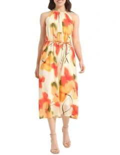 Popaver Dress in Multi