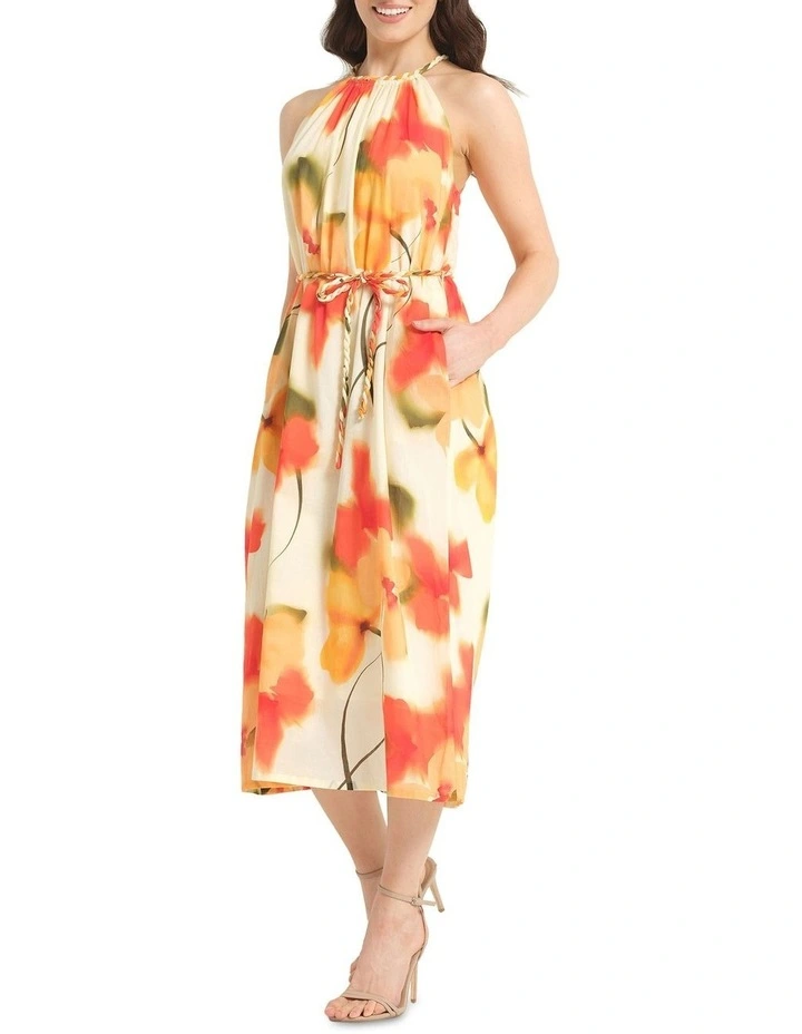 Popaver Dress in Multi image 3