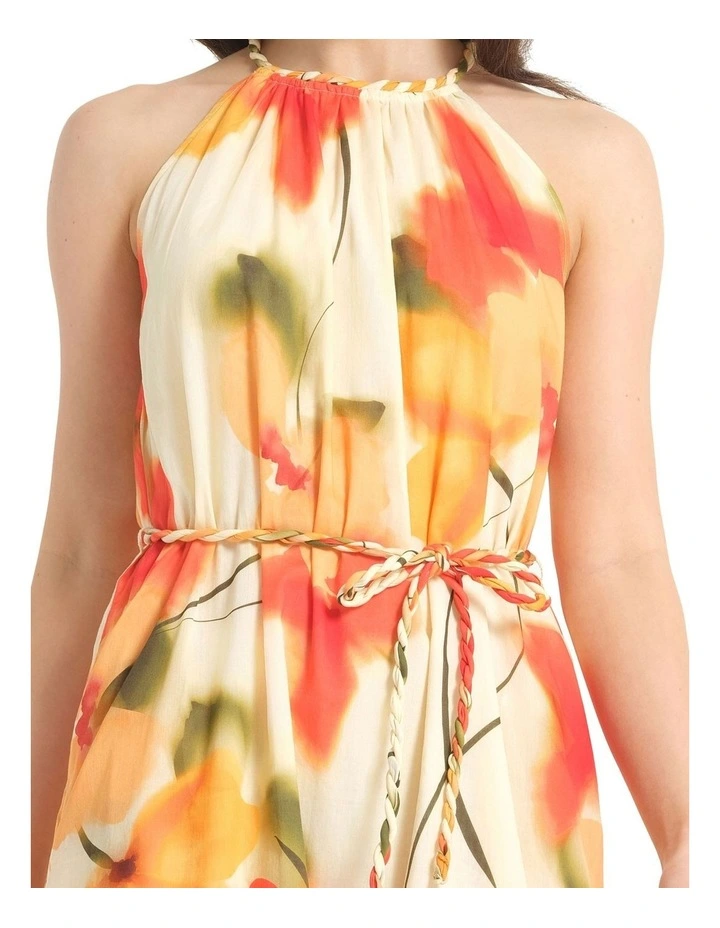 Popaver Dress in Multi image 4