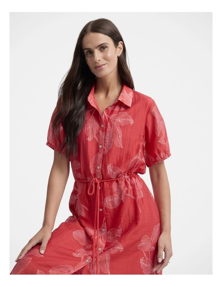 Rosella Dress image 5