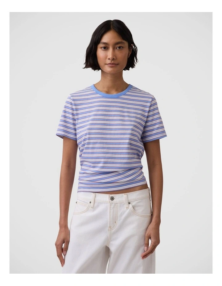 Organic Cotton Vintage Soft T-Shirt in Blue and Red Stripe image 1