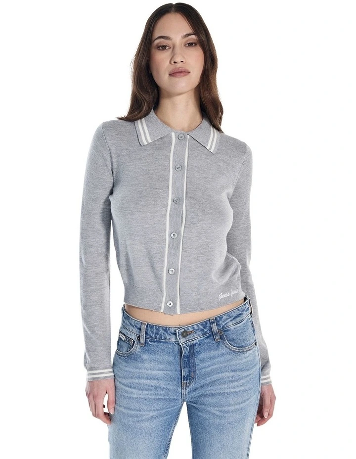 Long Sleeve Polo Embroidered Sweater in Grey image 1