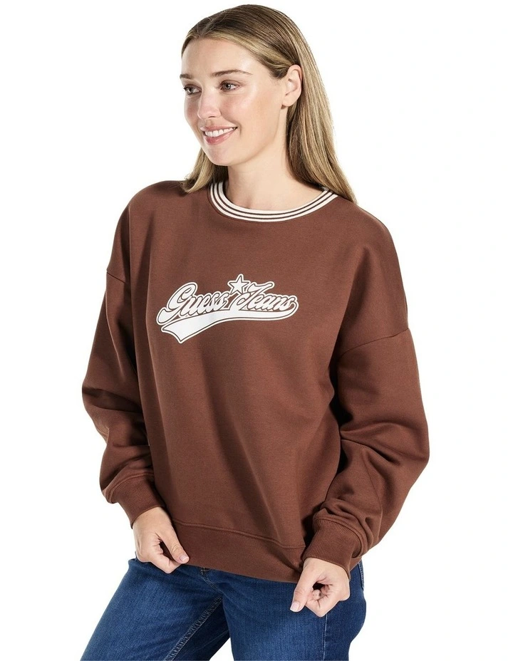 Puff Star Sweat in Brown image 4