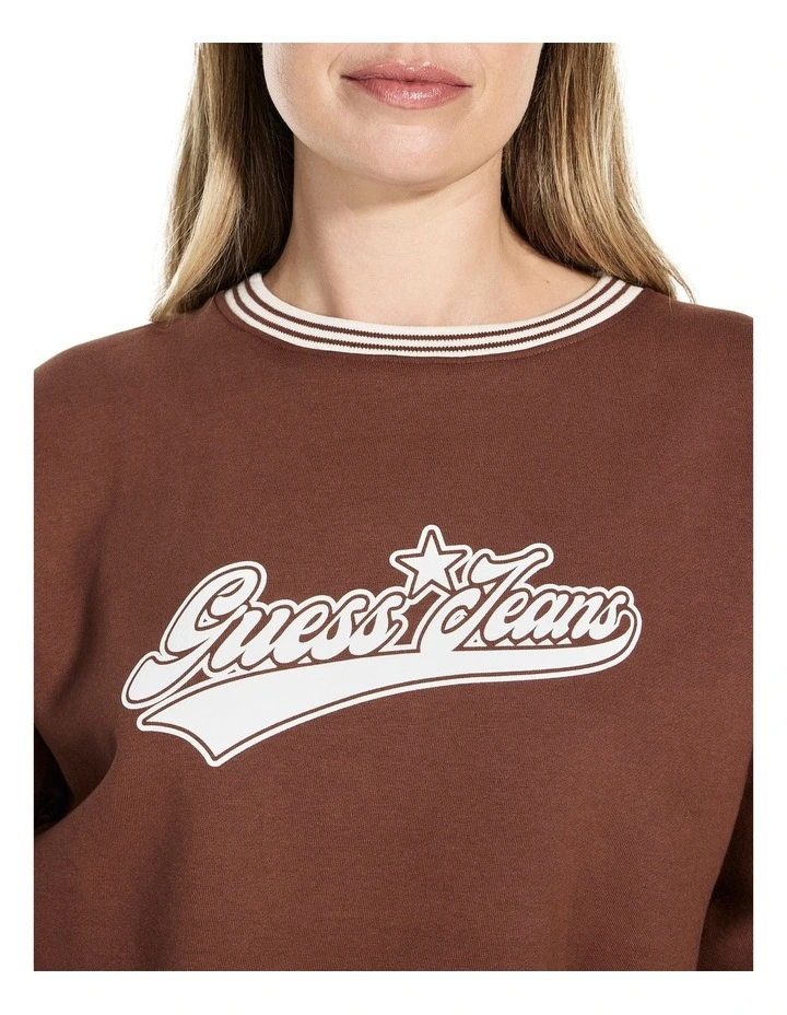 Puff Star Sweat in Brown image 5