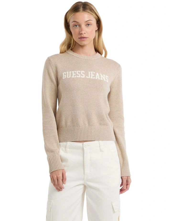 Guess Jeans Intarsia Sweater in Brown Oatmeal Heathe image 1