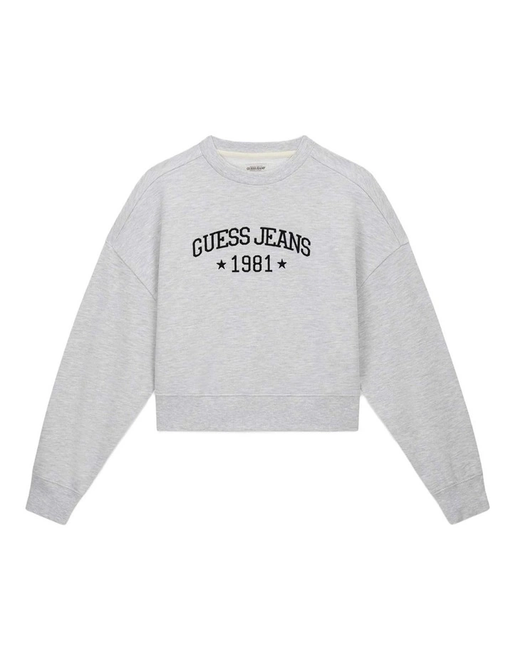 Drop Shoulder Cropped Crew Sweatshirt in Gj Lt Grey Heather image 5