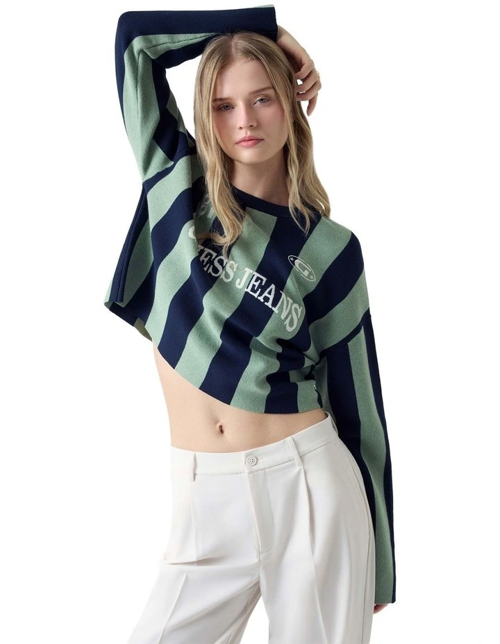 Striped Sweater in Green And Blue Strip image 1