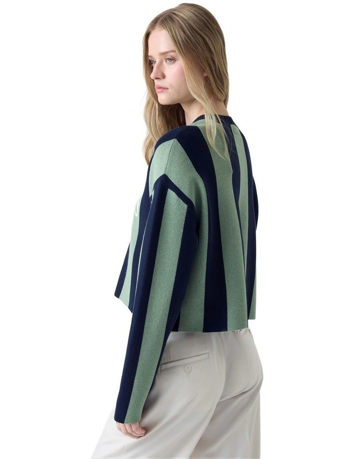 Striped Sweater in Green And Blue Strip image 3