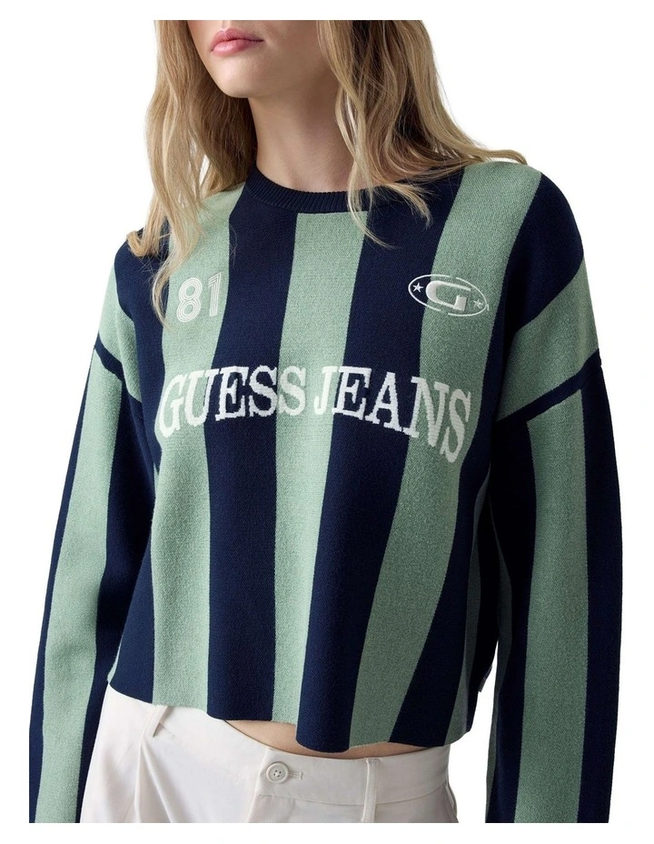 Striped Sweater in Green And Blue Strip image 4