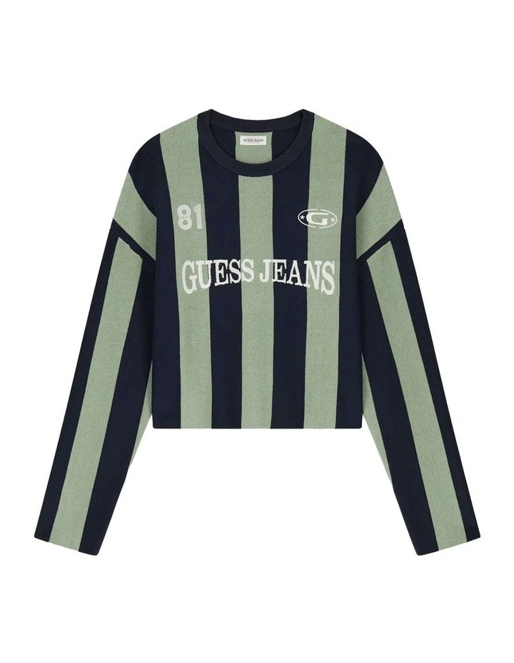 Striped Sweater in Green And Blue Strip image 5