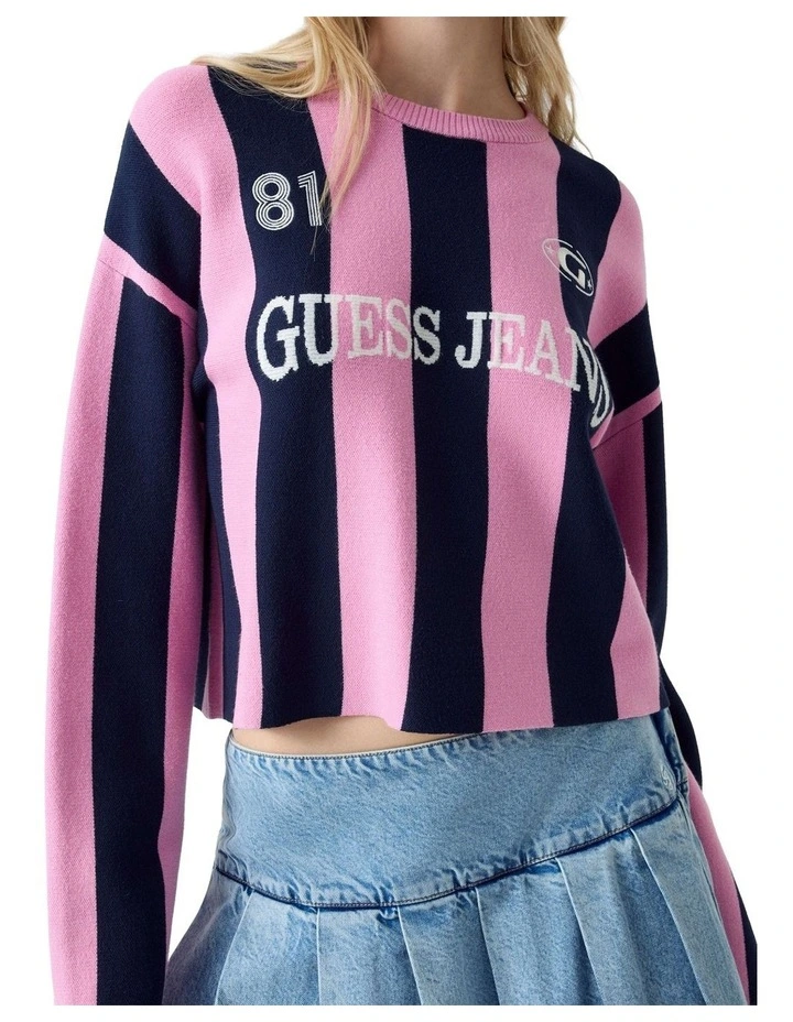 Striped Sweater in Pink/Blue Stripe image 2