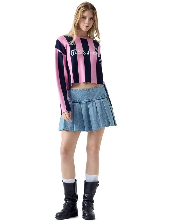 Striped Sweater in Pink/Blue Stripe image 4